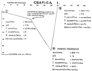 Glucosa y el Momento Terap�utico