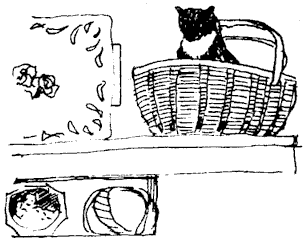 catalina.gif (9257 bytes)