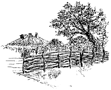 corral.gif (19371 bytes)