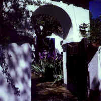 garden.jpg (39051 bytes)